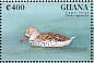 Cape Teal Anas capensis  1995 Ducks of Africa Sheet