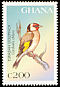 European Goldfinch Carduelis carduelis  1997 Birds of Africa 