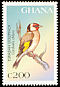 European Goldfinch Carduelis carduelis