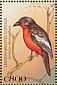 Crimson-breasted Shrike Laniarius atrococcineus  1997 Birds of Africa Sheet