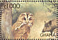 Tawny Owl Strix aluco