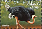 Common Ostrich Struthio camelus  2000 Wildlife  MS