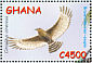 Brown Snake Eagle Circaetus cinereus  2002 Birds Sheet