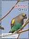 Meyer's Parrot Poicephalus meyeri  2012 Parrots of Africa Sheet