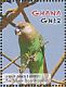 Brown-headed Parrot Poicephalus cryptoxanthus