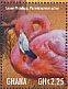 American Flamingo Phoenicopterus ruber  2013 Animals of Africa 5v sheet