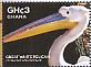 Great White Pelican Pelecanus onocrotalus