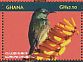 Collared Sunbird Hedydipna collaris  2015 Sunbirds of Africa Sheet