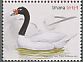 Black-necked Swan Cygnus melancoryphus  2015 Swans, Singapore 2015 Sheet