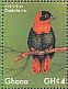 Southern Red Bishop Euplectes orix  2017 Colorful birds Sheet