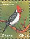 Red-crested Cardinal Paroaria coronata  2017 Colorful birds Sheet