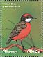 Crimson Chat Epthianura tricolor