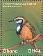 Greater Necklaced Laughingthrush Pterorhinus pectoralis