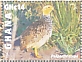 Coqui Francolin Campocolinus coqui  2023 Coqui Francolin Sheet