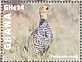 Coqui Francolin Campocolinus coqui  2023 Coqui Francolin Sheet