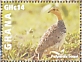 Coqui Francolin Campocolinus coqui  2023 Coqui Francolin Sheet