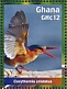 Malachite Kingfisher Corythornis cristatus  2023 Malachite Kingfisher Sheet