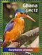 Malachite Kingfisher Corythornis cristatus