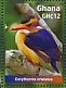 Malachite Kingfisher Corythornis cristatus