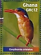 Malachite Kingfisher Corythornis cristatus