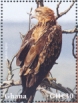 Tawny Eagle Aquila rapax