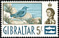 Blue Rock Thrush Monticola solitarius  1960 Definitives 