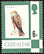 Black Kite Milvus migrans  1977 Definitives 