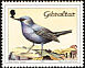 Blue Rock Thrush Monticola solitarius  1988 Birds 