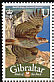 Bonelli's Eagle Aquila fasciata  2008 Bird definitives 