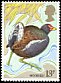 Common Moorhen Gallinula chloropus  1980 Wild bird protection 