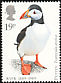 Atlantic Puffin Fratercula arctica  1989 RSPB 