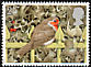 European Robin Erithacus rubecula  1995 Christmas 