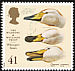 Whooper Swan Cygnus cygnus  1996 The wildfowl and wetlands trust 