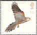 Common Kestrel Falco tinnunculus  2003 Birds of prey Sheet