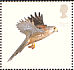 Common Kestrel Falco tinnunculus  2003 Birds of prey Sheet