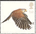 Common Kestrel Falco tinnunculus  2003 Birds of prey Sheet