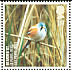 Bearded Reedling Panurus biarmicus  2007 Endangered birds 