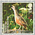 Corn Crake Crex crex  2007 Endangered birds 