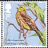 Yellowhammer Emberiza citrinella  2017 Songbirds 