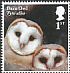 Western Barn Owl Tyto alba  2018 Owls 