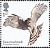 Eurasian Sparrowhawk Accipiter nisus