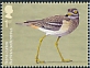 Eurasian Stone-curlew Burhinus oedicnemus