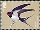 Barn Swallow Hirundo rustica