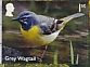 Grey Wagtail Motacilla cinerea  2023 River wildlife 10v sheet, sa