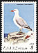 Audouin's Gull Ichthyaetus audouinii  1979 Endangered birds 