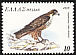 Eleonora's Falcon Falco eleonorae  1979 Endangered birds 