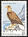 White-tailed Eagle Haliaeetus albicilla  1979 Endangered birds 