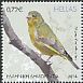 European Greenfinch Chloris chloris  2014 Songbirds 