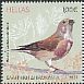 Common Linnet Linaria cannabina  2014 Songbirds 