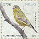 European Greenfinch Chloris chloris  2014 Songbirds Prestige booklet